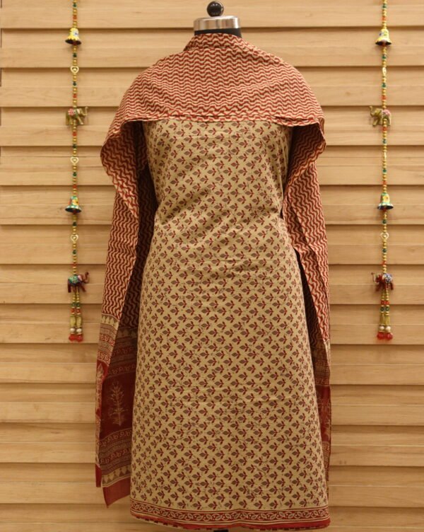 PNSAL-06 Grey & Maroon Salwar